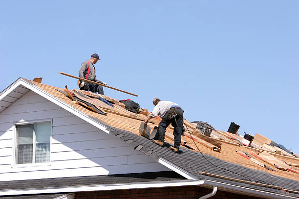 Best Roof Installation  in Battle Mountain, NV